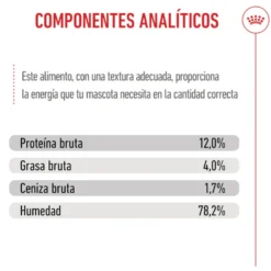 Royal Canin Kitten Alimento Húmido em molho para gatinhos