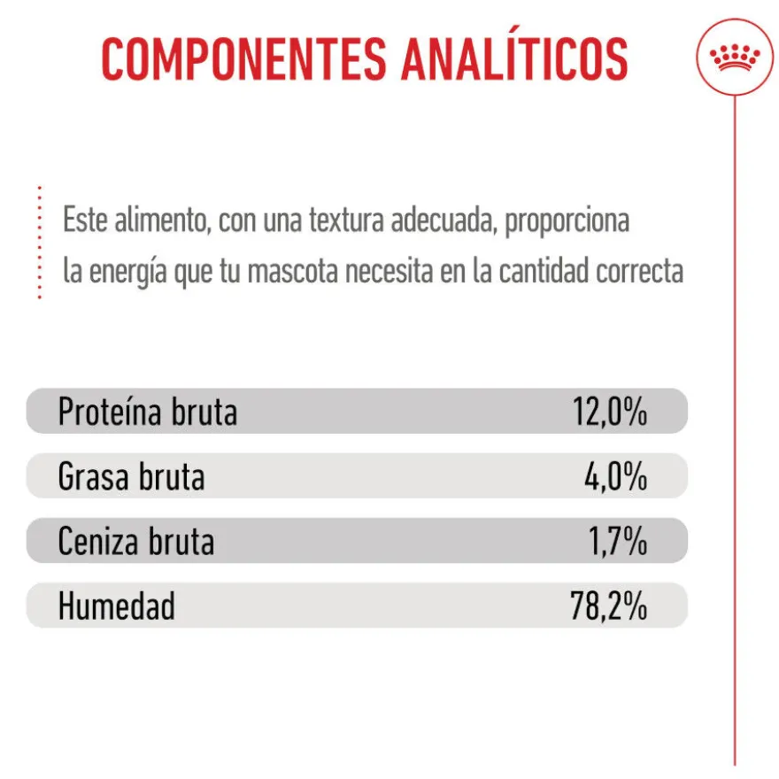 Royal Canin Kitten Alimento Húmido em molho para gatinhos