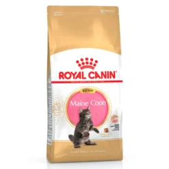 Royal Canin Kitten Maine Coon ração para gatinhos