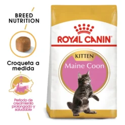 Royal Canin Kitten Maine Coon ração para gatinhos