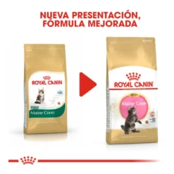 Royal Canin Kitten Maine Coon ração para gatinhos