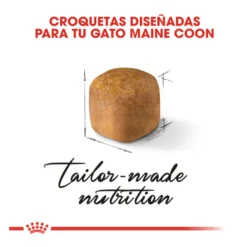 Royal Canin Kitten Maine Coon ração para gatinhos