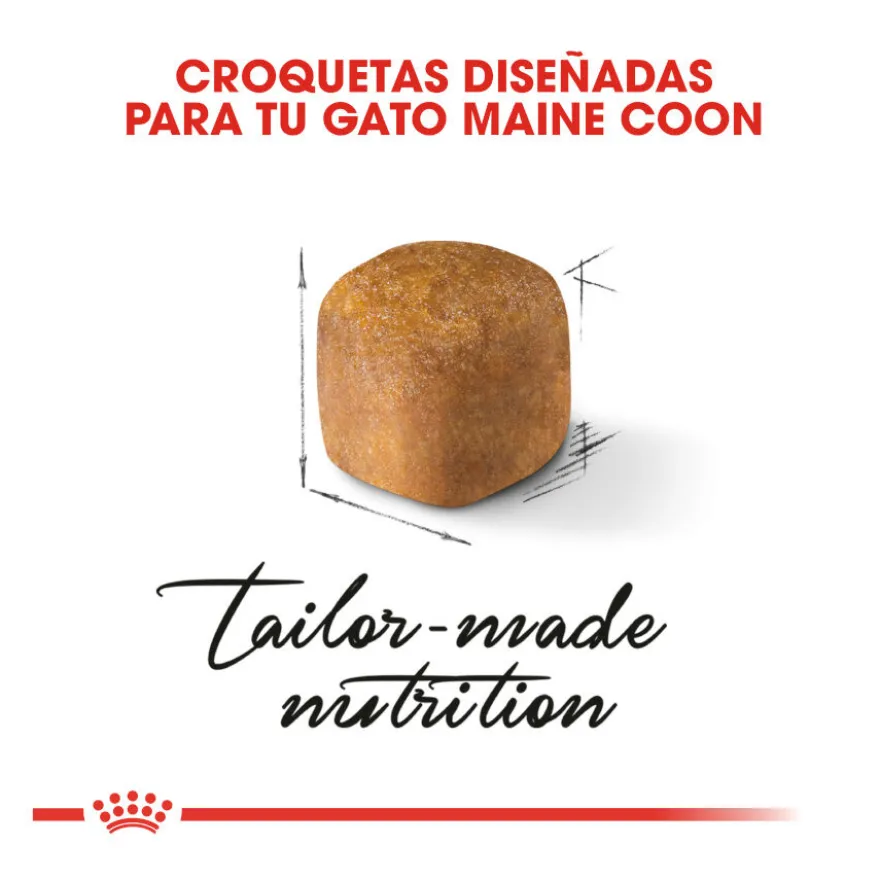 Royal Canin Kitten Maine Coon ração para gatinhos