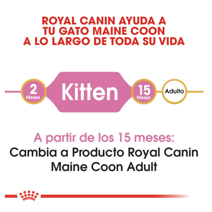 Royal Canin Kitten Maine Coon ração para gatinhos