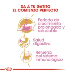 Royal Canin Kitten Maine Coon ração para gatinhos