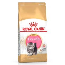 Royal Canin Kitten Persa ração para gatinhos