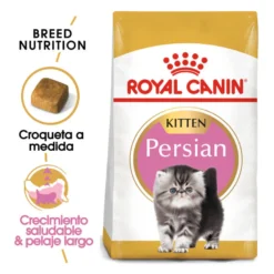 Royal Canin Kitten Persa ração para gatinhos