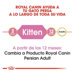 Royal Canin Kitten Persa ração para gatinhos