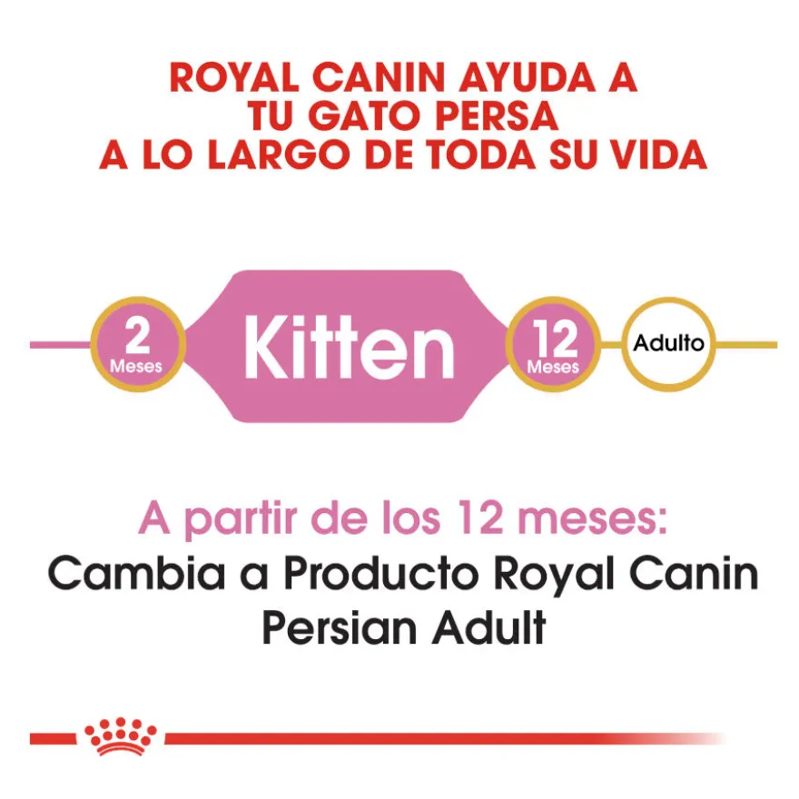 Royal Canin Kitten Persa ração para gatinhos