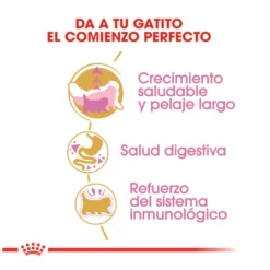 Royal Canin Kitten Persa ração para gatinhos