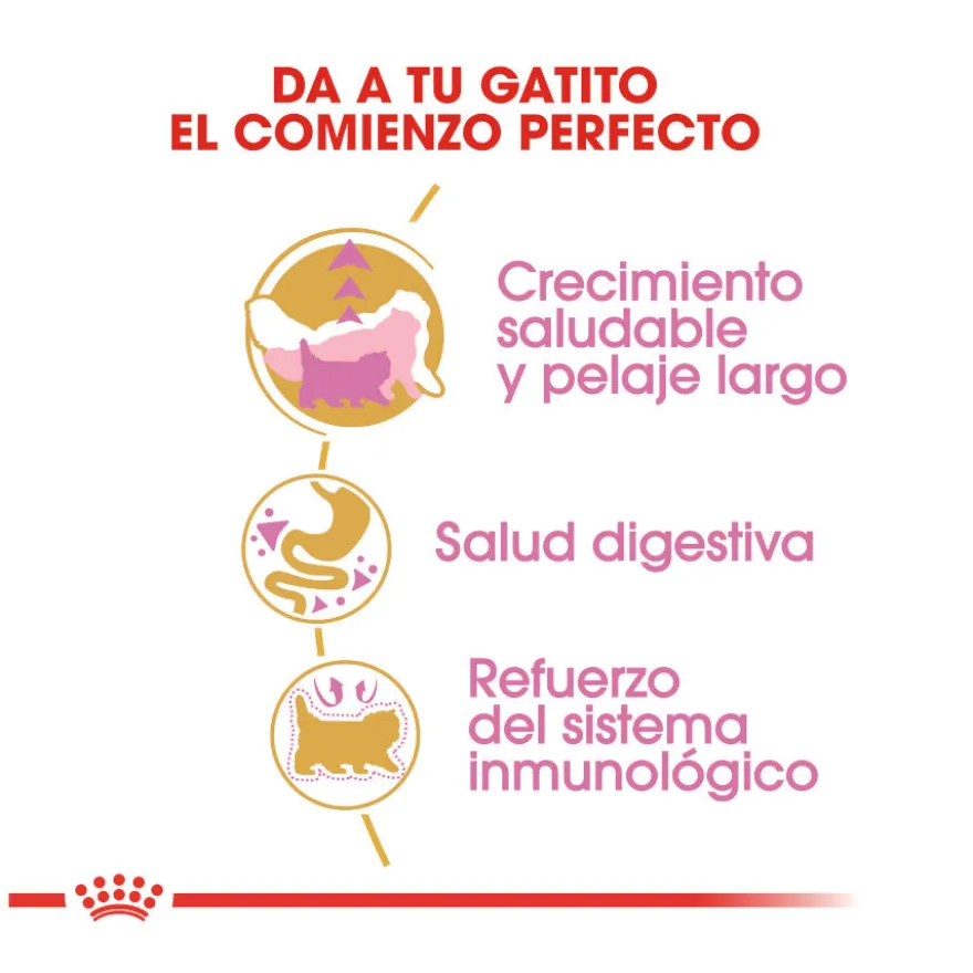 Royal Canin Kitten Persa ração para gatinhos