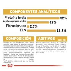 Royal Canin Kitten Persa ração para gatinhos