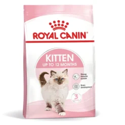 Royal Canin Kitten ração para gatinhos