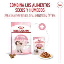Royal Canin Kitten ração para gatinhos