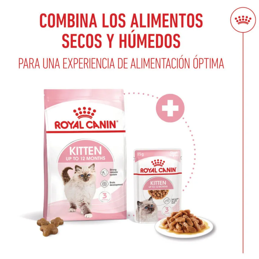 Royal Canin Kitten ração para gatinhos