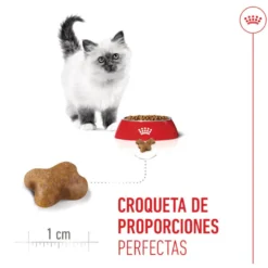 Royal Canin Kitten ração para gatinhos