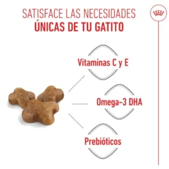 Royal Canin Kitten ração para gatinhos