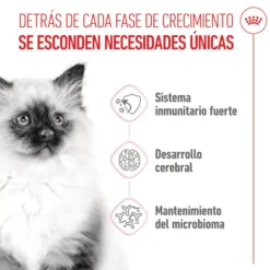 Royal Canin Kitten ração para gatinhos