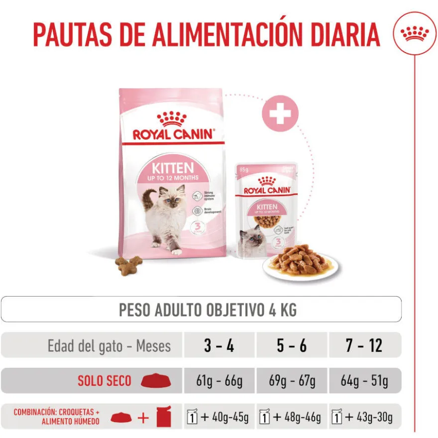 Royal Canin Kitten ração para gatinhos