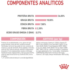 Royal Canin Kitten ração para gatinhos