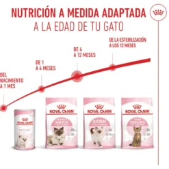 Royal Canin Kitten ração para gatinhos