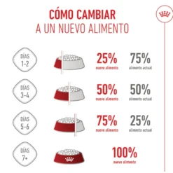 Royal Canin Kitten Sterilised ração para gatos