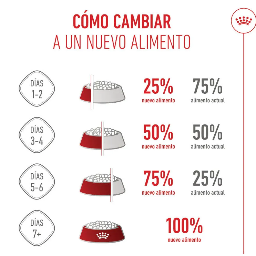 Royal Canin Kitten Sterilised ração para gatos