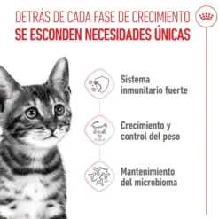Royal Canin Kitten Sterilised ração para gatos