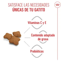 Royal Canin Kitten Sterilised ração para gatos