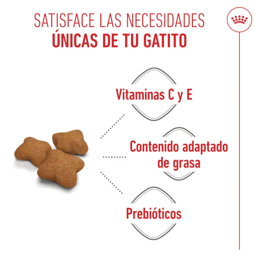 Royal Canin Kitten Sterilised ração para gatos