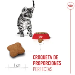 Royal Canin Kitten Sterilised ração para gatos