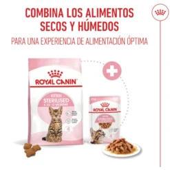 Royal Canin Kitten Sterilised ração para gatos