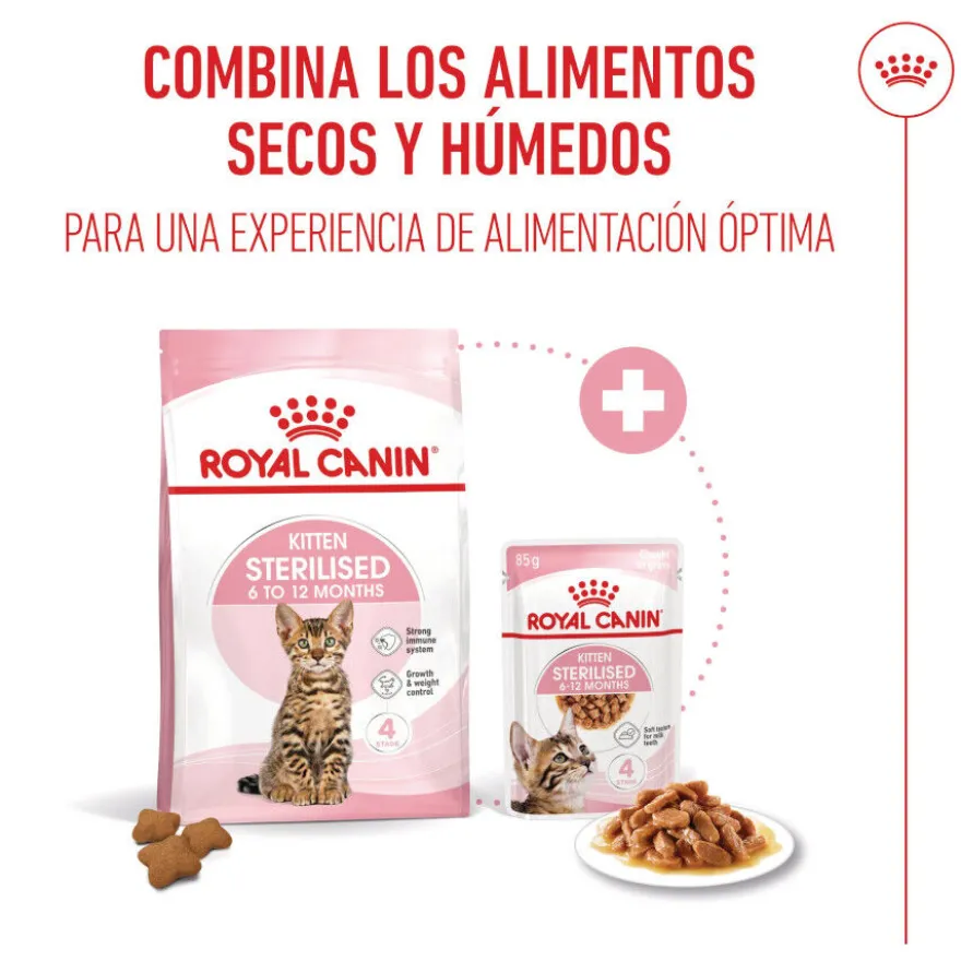 Royal Canin Kitten Sterilised ração para gatos
