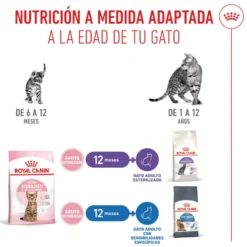 Royal Canin Kitten Sterilised ração para gatos
