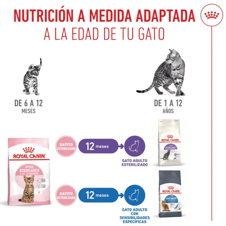 Royal Canin Kitten Sterilised ração para gatos