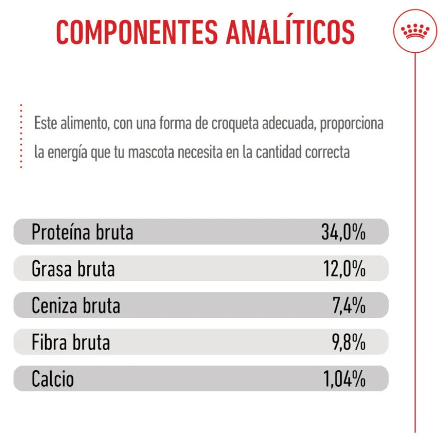 Royal Canin Kitten Sterilised ração para gatos