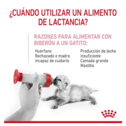 Royal Canin Leite para gatinhos primeiro ano