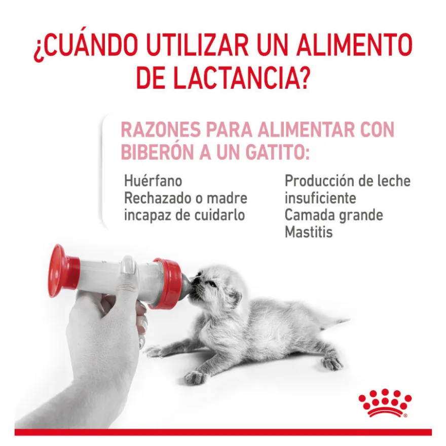 Royal Canin Leite para gatinhos primeiro ano