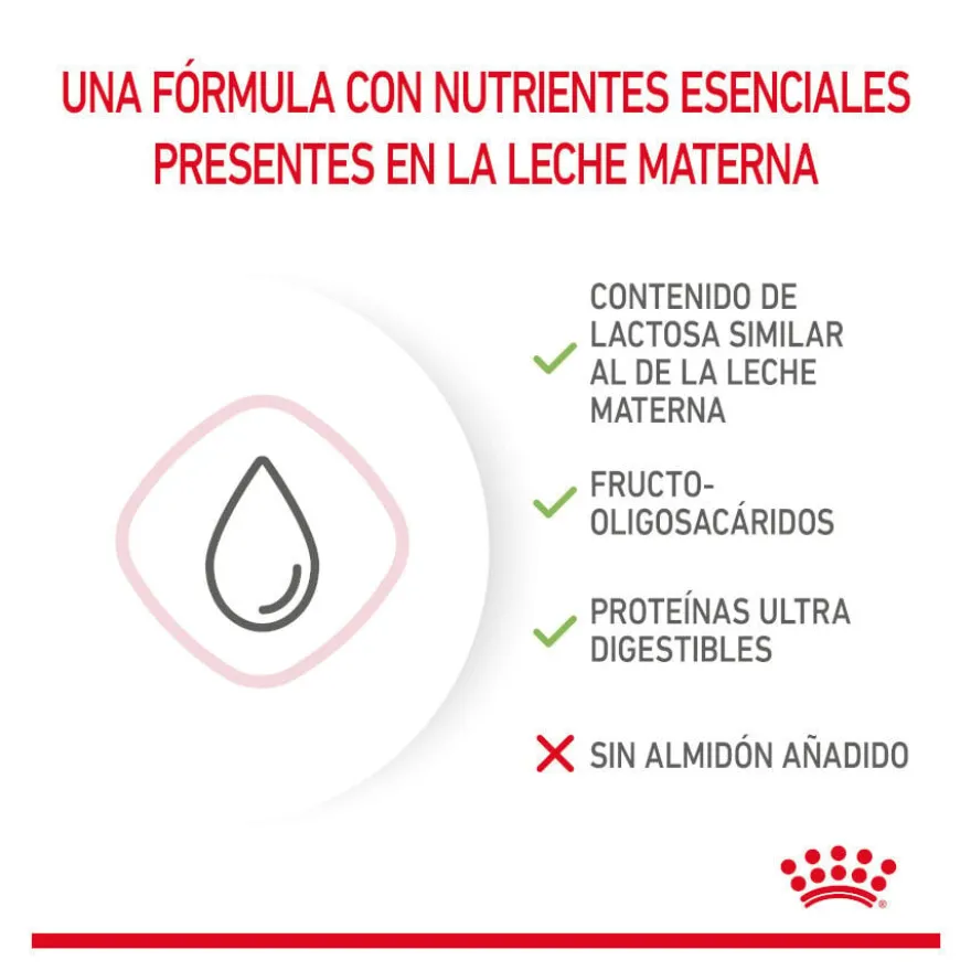 Royal Canin Leite para gatinhos primeiro ano