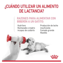 Royal Canin Leite para gatinhos primeiro ano