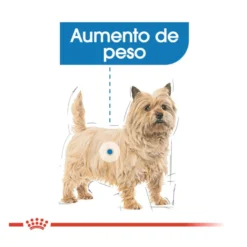 Royal Canin Light Weight Care Saquetas Patê para cães