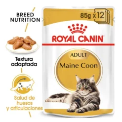 Royal Canin Maine Coon alimento húmido para gatos