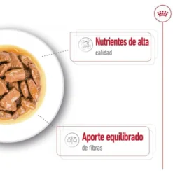 Royal Canin Maxi Adult Carne saquetas em molho para cães