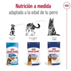 Royal Canin Maxi Adult Carne saquetas em molho para cães