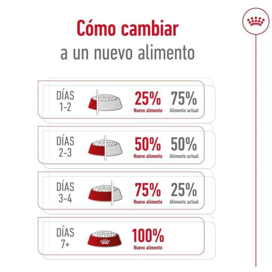Royal Canin Maxi Adult ração para cães