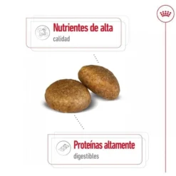 Royal Canin Maxi Adult ração para cães