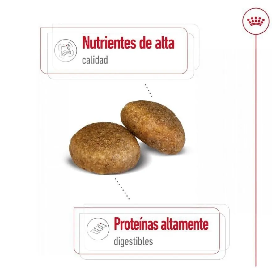 Royal Canin Maxi Adult ração para cães