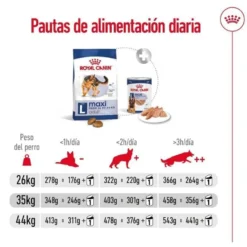 Royal Canin Maxi Adult ração para cães