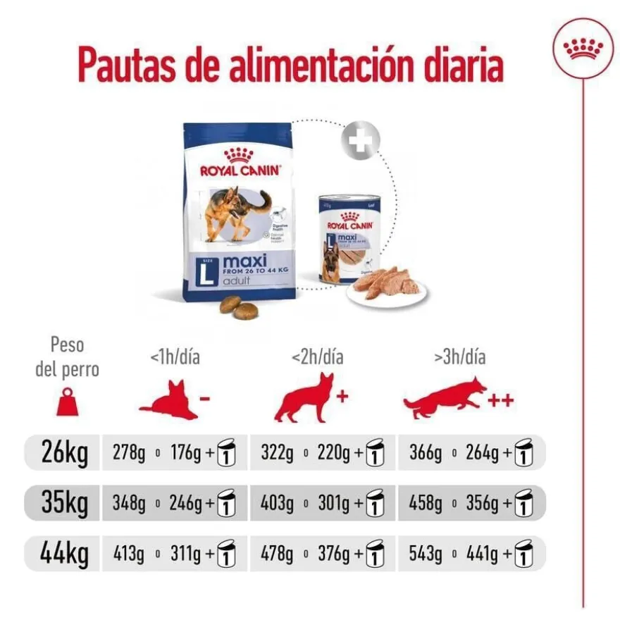Royal Canin Maxi Adult ração para cães