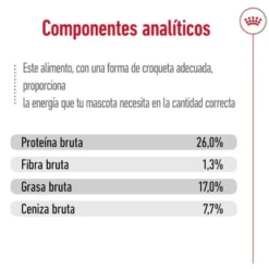 Royal Canin Maxi Adult ração para cães